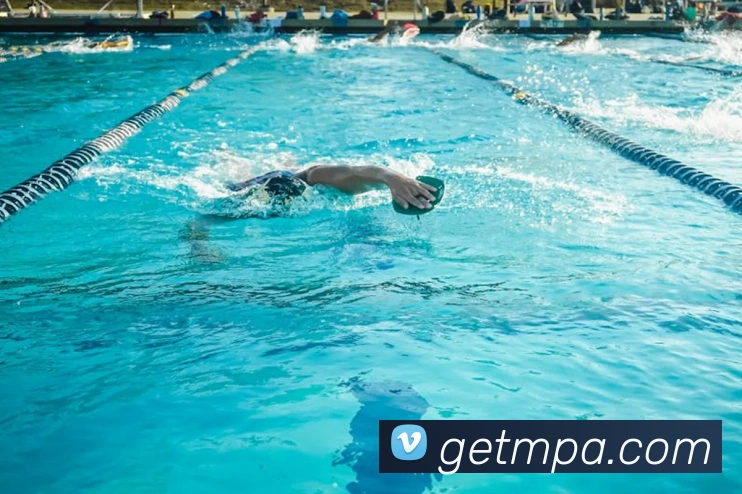 pa视讯服务体系